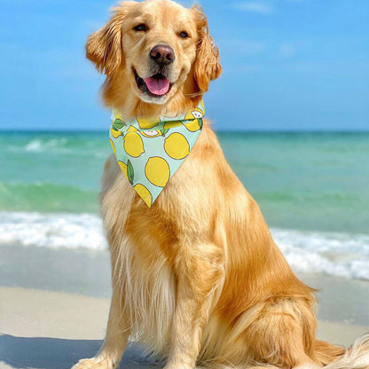 4PCS Dog Bandana for Small Medium Large Dogs Cats Puppy Hawaiian Kerchief Collar