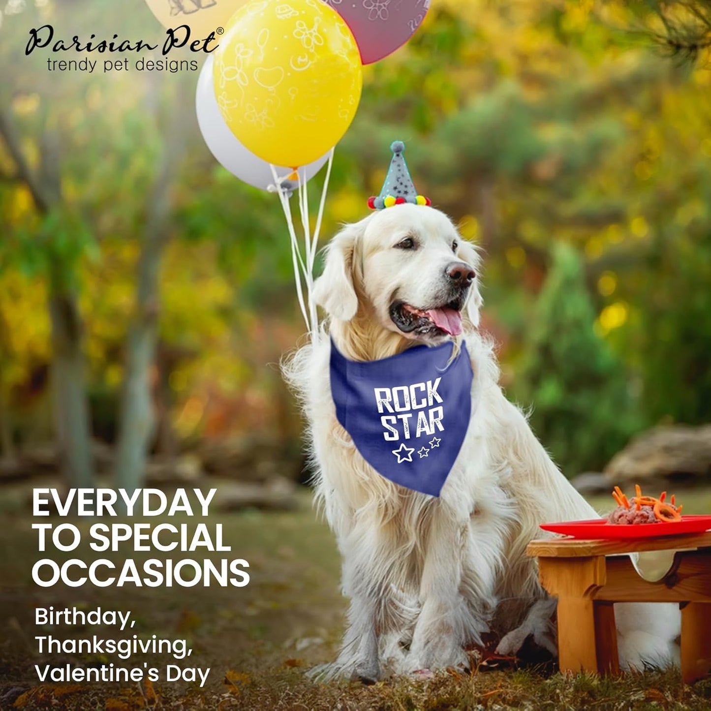 Unisex Dog Bandanas with Printed 'Rock Star' - Fashionable Tie-On Adjustable, Polyester Dog Scarf for Small Dogs - Washable Triangle Female Dog Bib - Blue Handkerchief for Pets - S