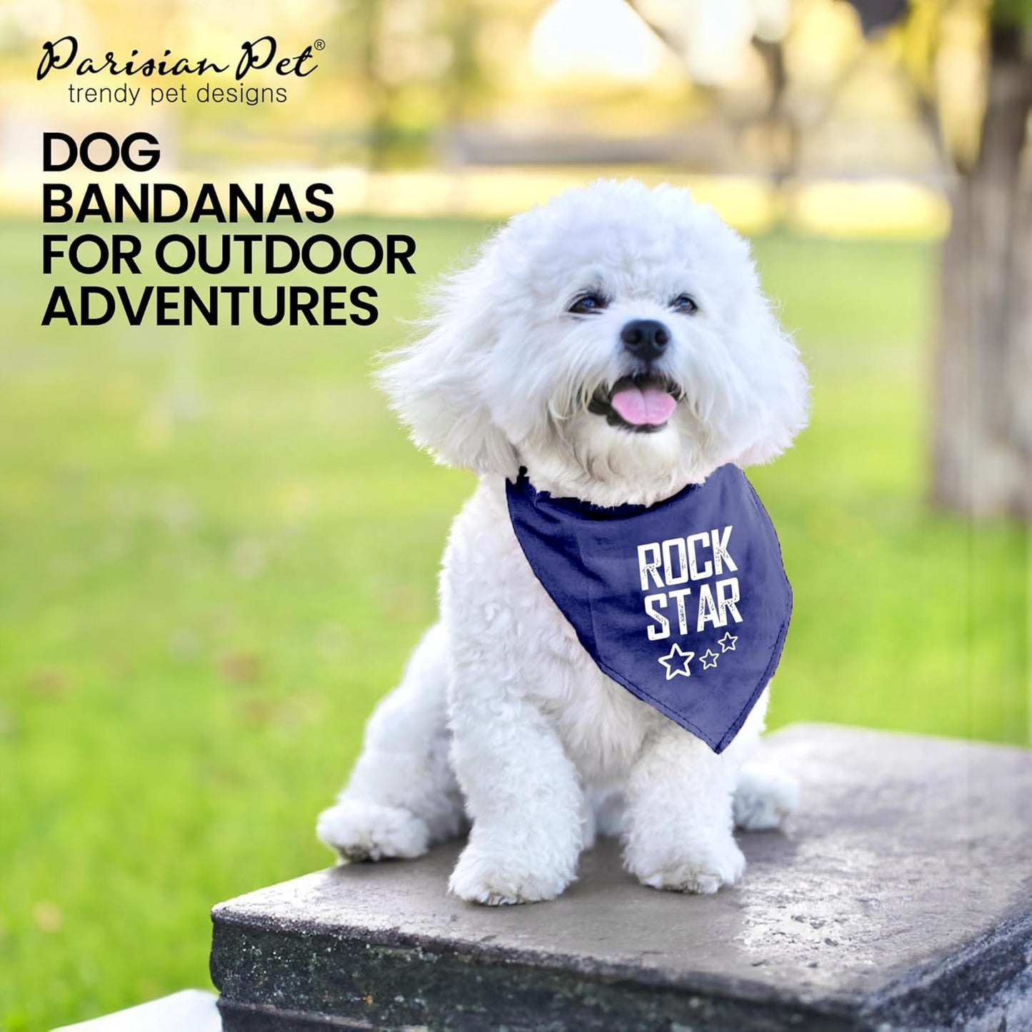 Unisex Dog Bandanas with Printed 'Rock Star' - Fashionable Tie-On Adjustable, Polyester Dog Scarf for Small Dogs - Washable Triangle Female Dog Bib - Blue Handkerchief for Pets - S