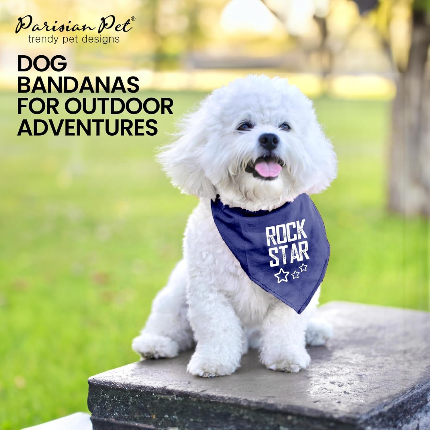 Unisex Dog Bandanas with Printed 'Rock Star' - Fashionable Tie-On Adjustable, Polyester Dog Scarf for Small Dogs - Washable Triangle Female Dog Bib - Blue Handkerchief for Pets - S