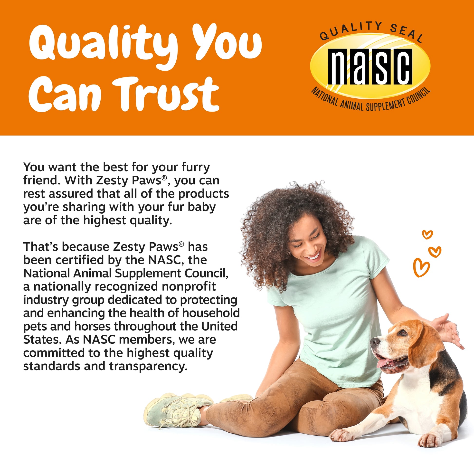 (6 Pack)  Probiotic Bites for Dogs, to Support Gut Health, Pumpkin 60Ct