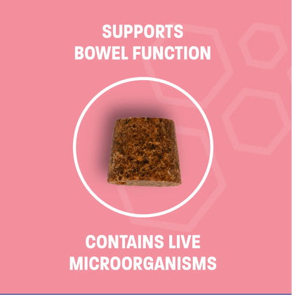 Dog Probiotic Chews for Dogs - Support Healthy Digestion Dog Probiotics and Digestive Enzymes for Gut Health for Dogs - for Traveling, Kenneling and Training - Large/Giant Dog