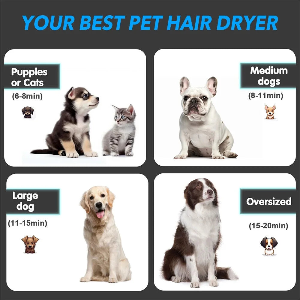 Dog-Hair-Dryer, 5.2HP/ 3800W High Velocity Pet Blow Dryer with Heater for Grooming, Speed Temperature Adjustable Dog Blower Grooming Dryer with 4 Nozzles