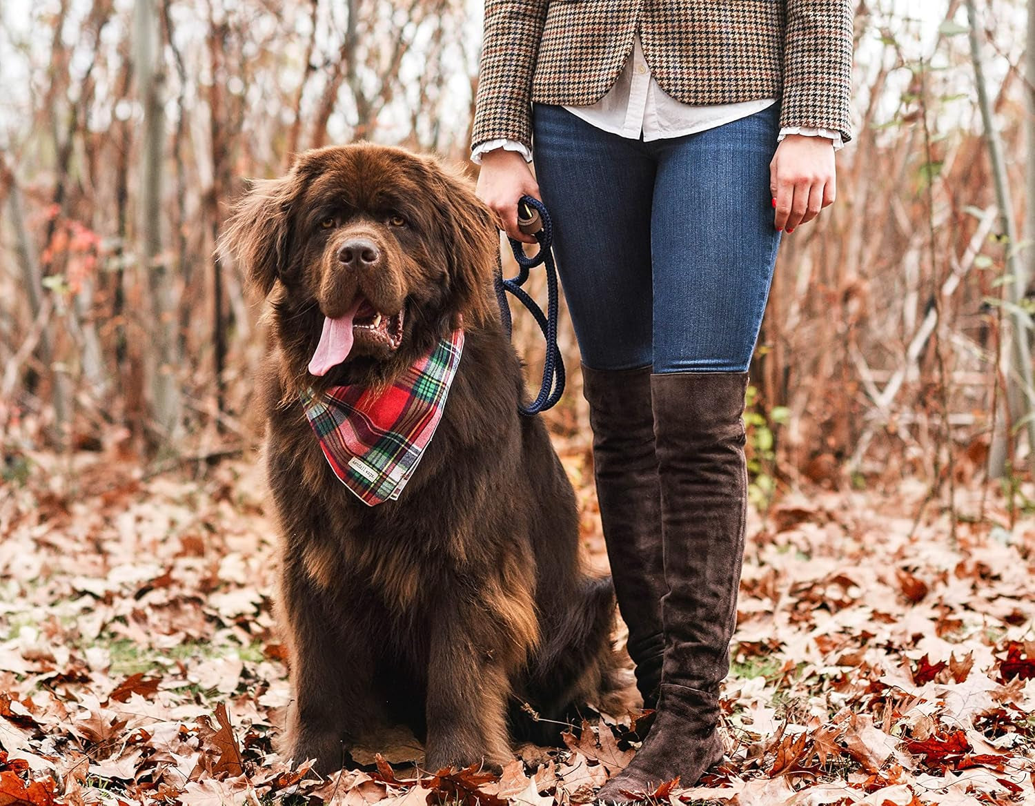 Christmas Dog Bandana in Tartan Plaid - Holiday Cozy Red Flannel Plaid Pet Bandana. Cute Dog Accessory for Fall and Winter for Large Medium and Small Dogs.