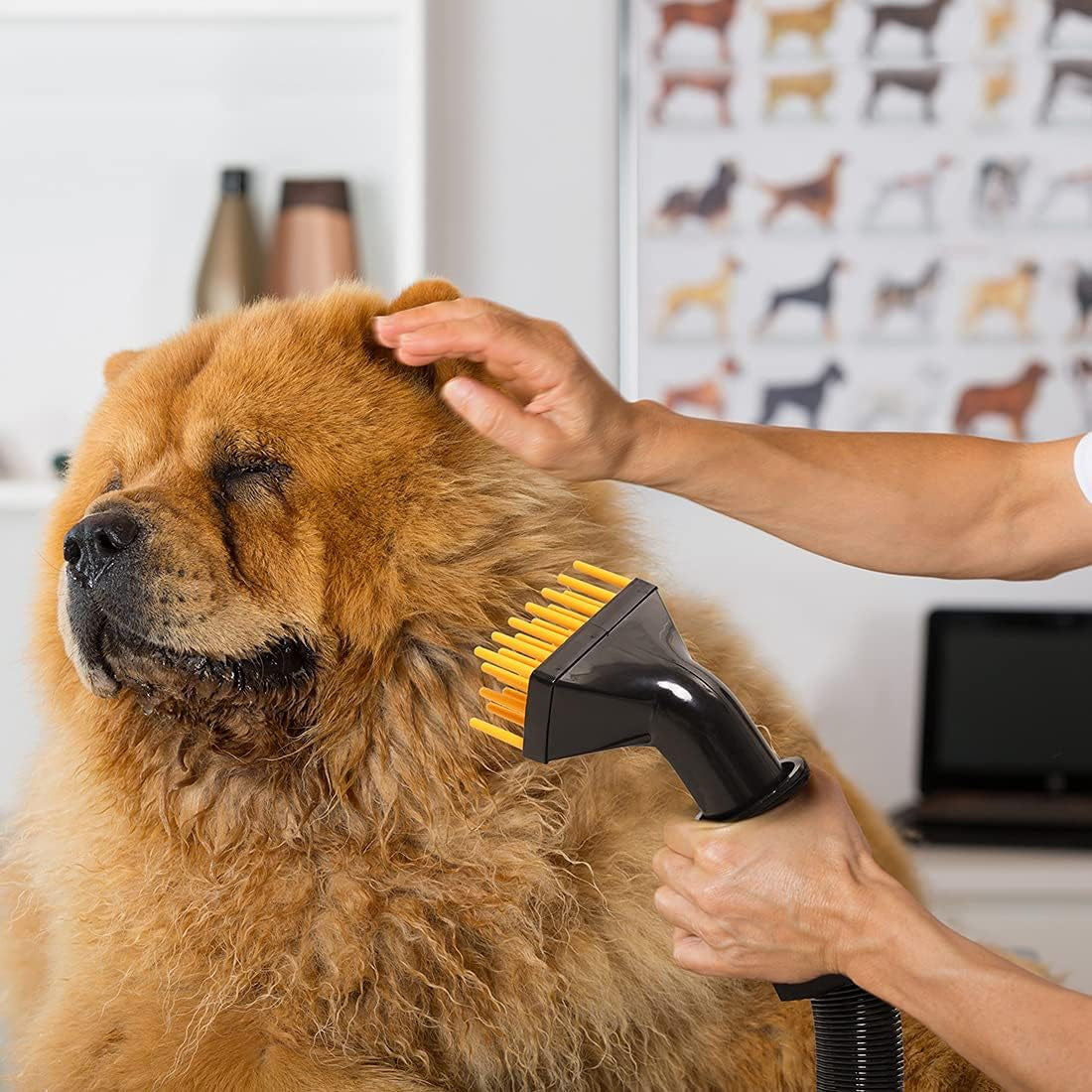 Pet Dryer Dog Hair Dryer 4.0HP Stepless Adjustable Speed and Temperature, Professional Pet Hair Force Dryer Dog Grooming Blower with Heater, Spring Hose, and 5 Different Nozzles