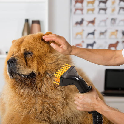 Pet Dryer Dog Hair Dryer 4.0HP Stepless Adjustable Speed and Temperature, Professional Pet Hair Force Dryer Dog Grooming Blower with Heater, Spring Hose, and 5 Different Nozzles