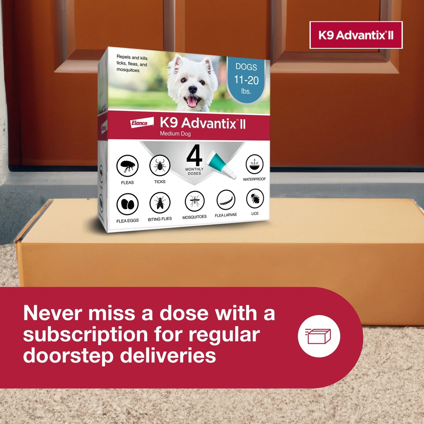 Monthly Flea & Tick Prevention for Medium Dogs 11-20 Lbs, 4-Monthly Treatment