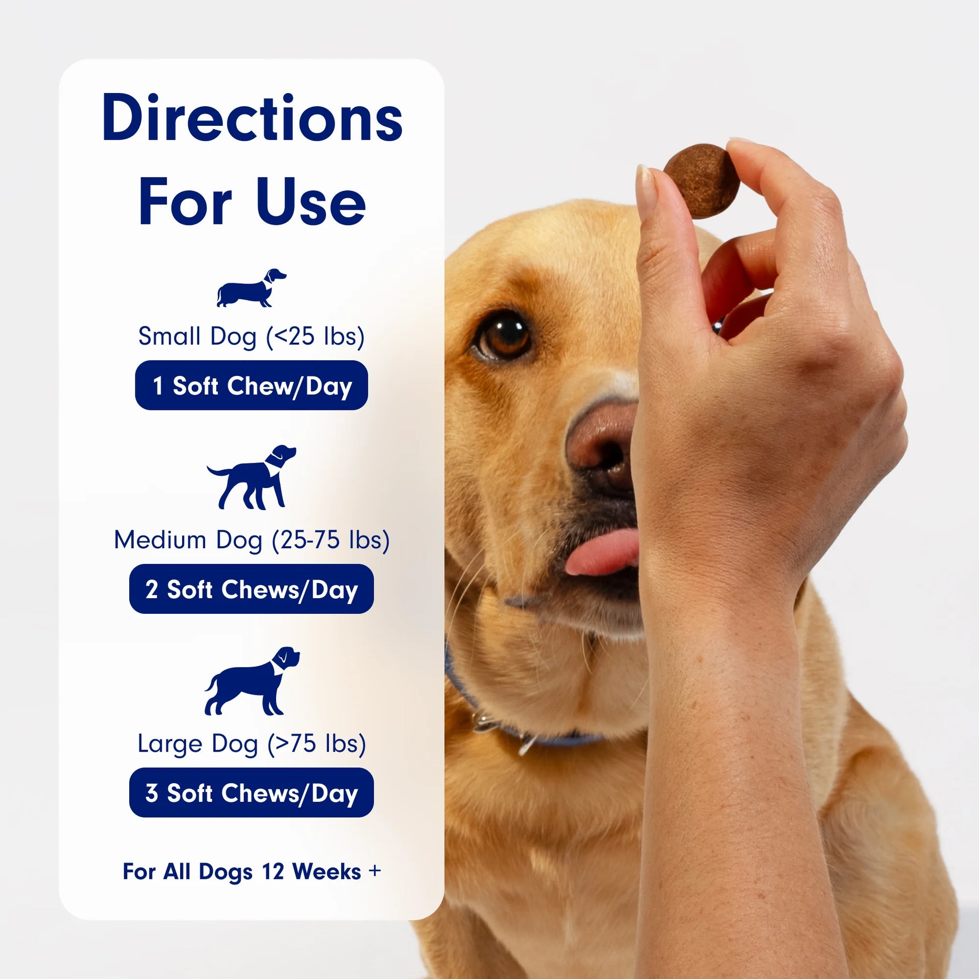 Co. Probiotic Chews, Delicious Soft Chew Probiotics for Dogs, 30 Ct.