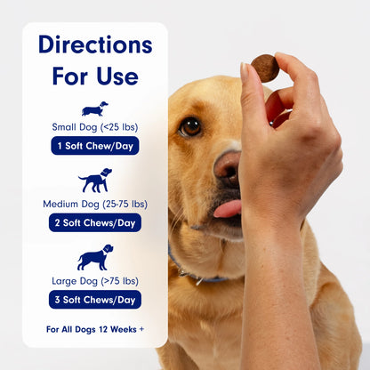 Co. Probiotic Chews, Delicious Soft Chew Probiotics for Dogs, 30 Ct.