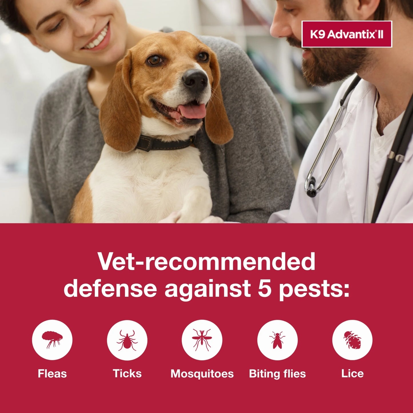 Monthly Flea & Tick Prevention for Medium Dogs 11-20 Lbs, 4-Monthly Treatment