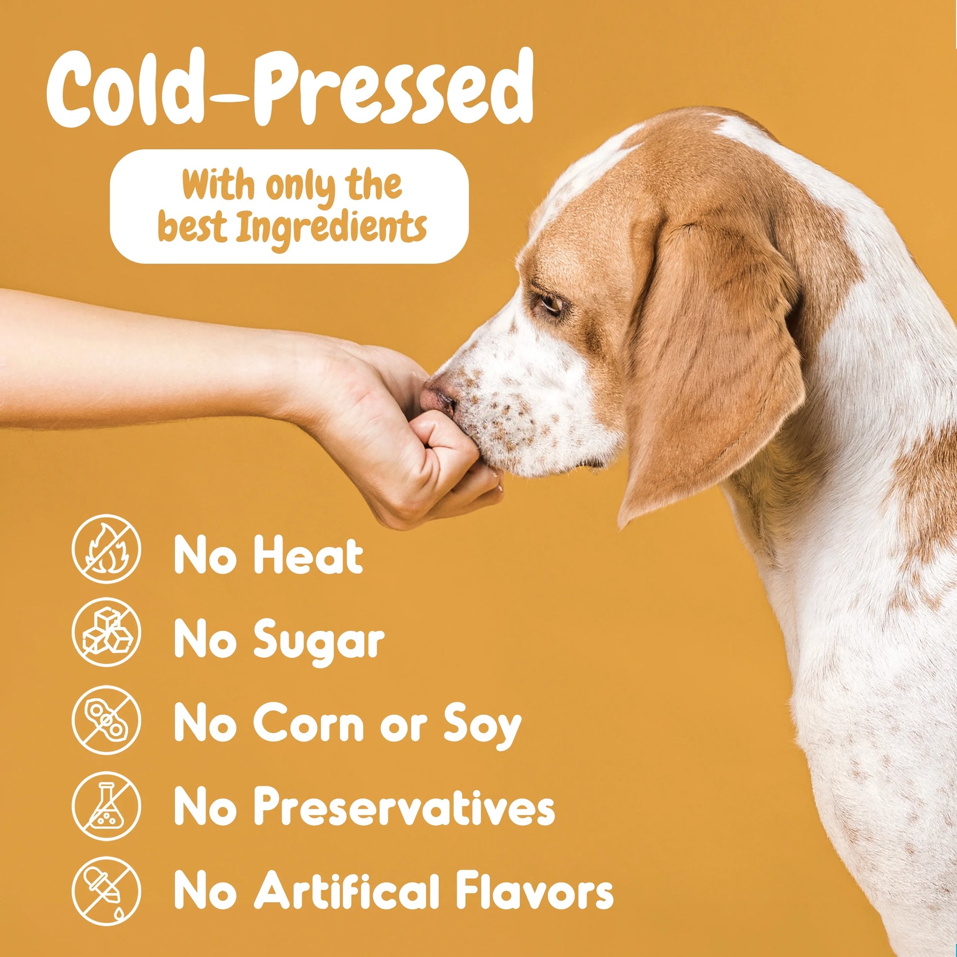 Probiotic Chews for Dogs - Digestive Enzymes - Diarrhea - Bad Breath - Gut & Immune Health - Probiotic and Prebiotic Supplement - 120 Soft Chews